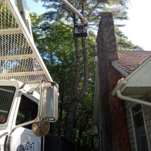 A-1 Tree Service in central Wisconsin removing storm damaged trees above residential home.